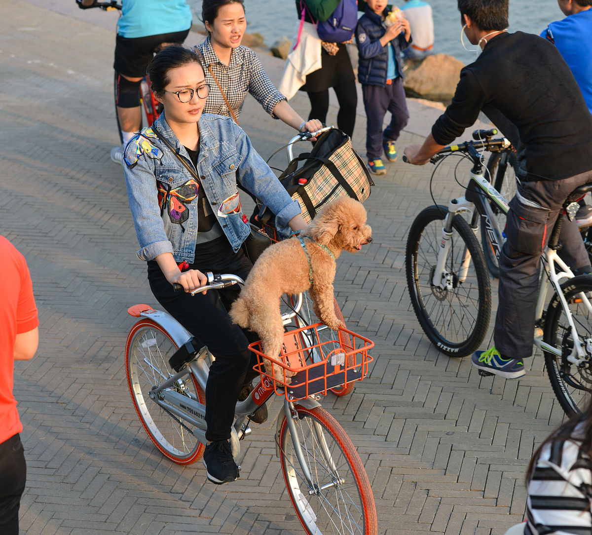 庄闲和游戏-告别乱花钱！普通人能落地的省钱攻略越省越有钱