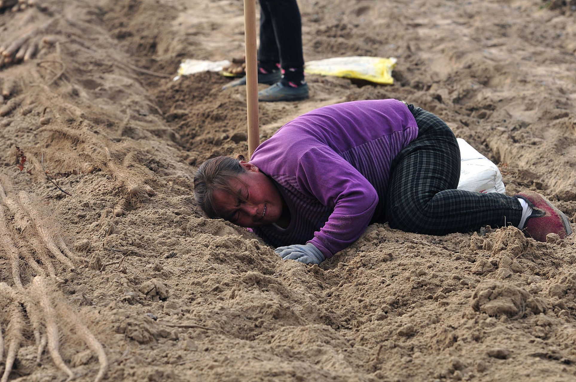 挖呀挖呀挖童谣为何火爆全网# #为何挖呀挖童谣能