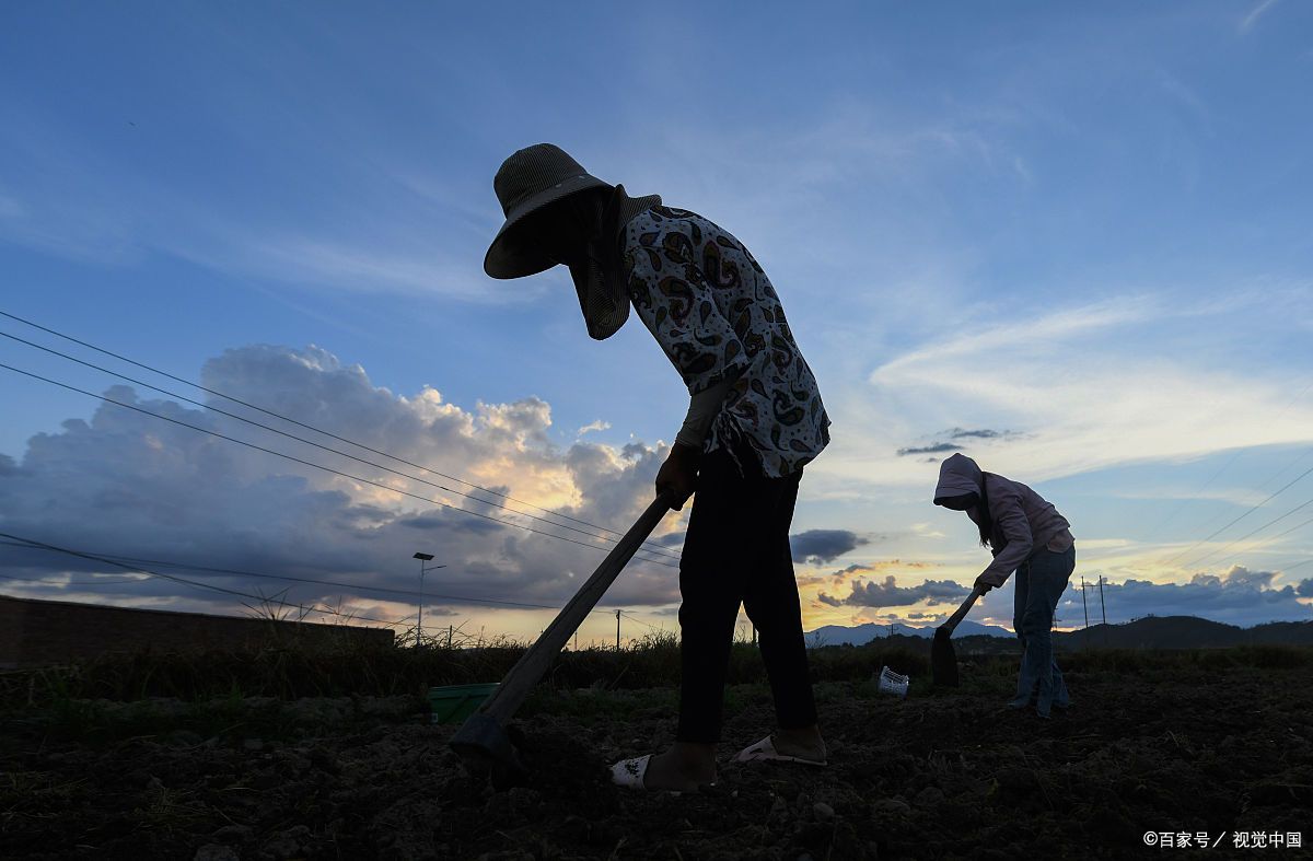 农民辛苦劳动图片个人的辛勤劳动和创造的成果不能归自己所有工人辛苦