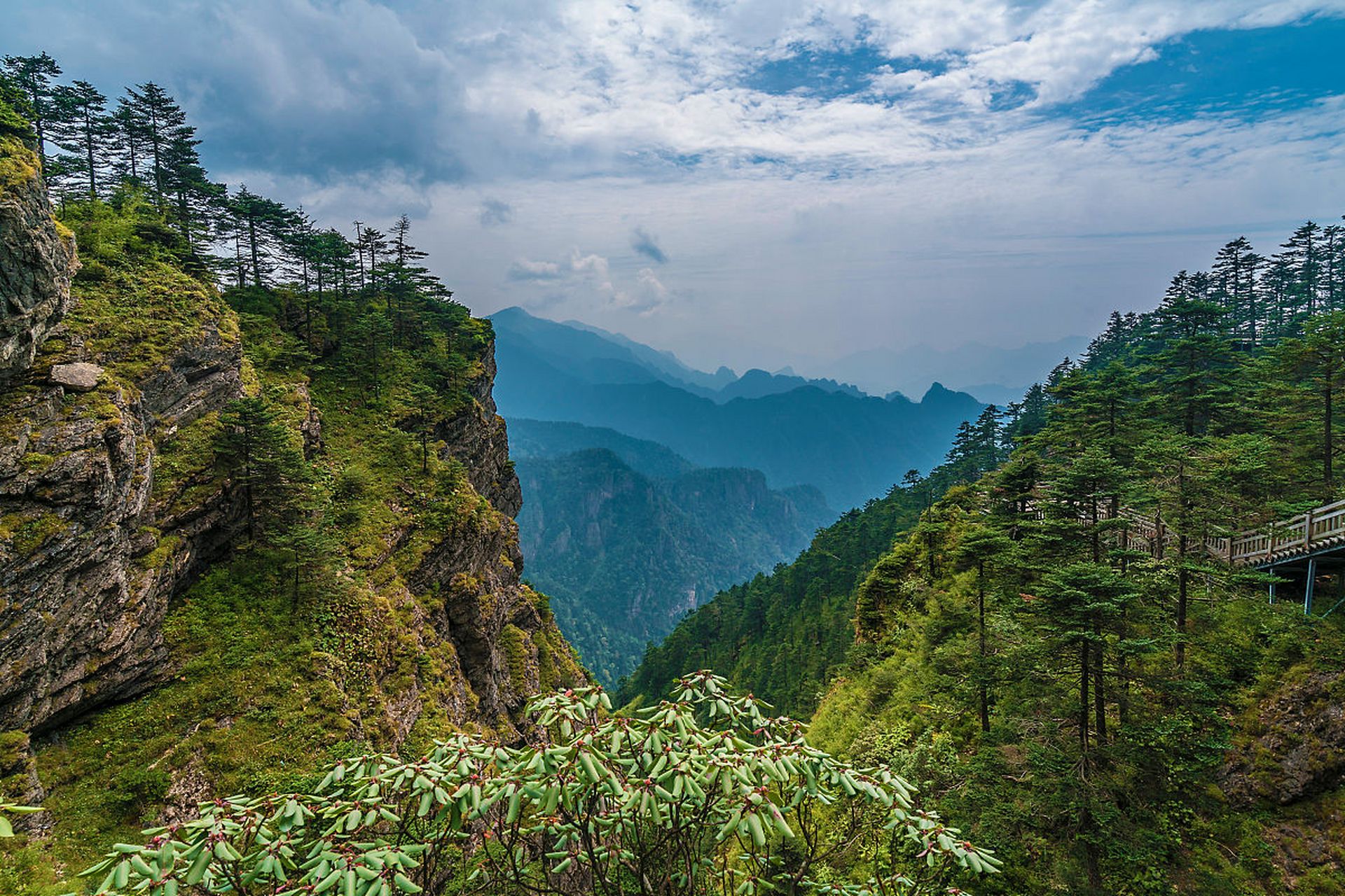 神农谷位于株洲炎陵县,是湖南多山地丘陵的代表之一,森林植被丰富