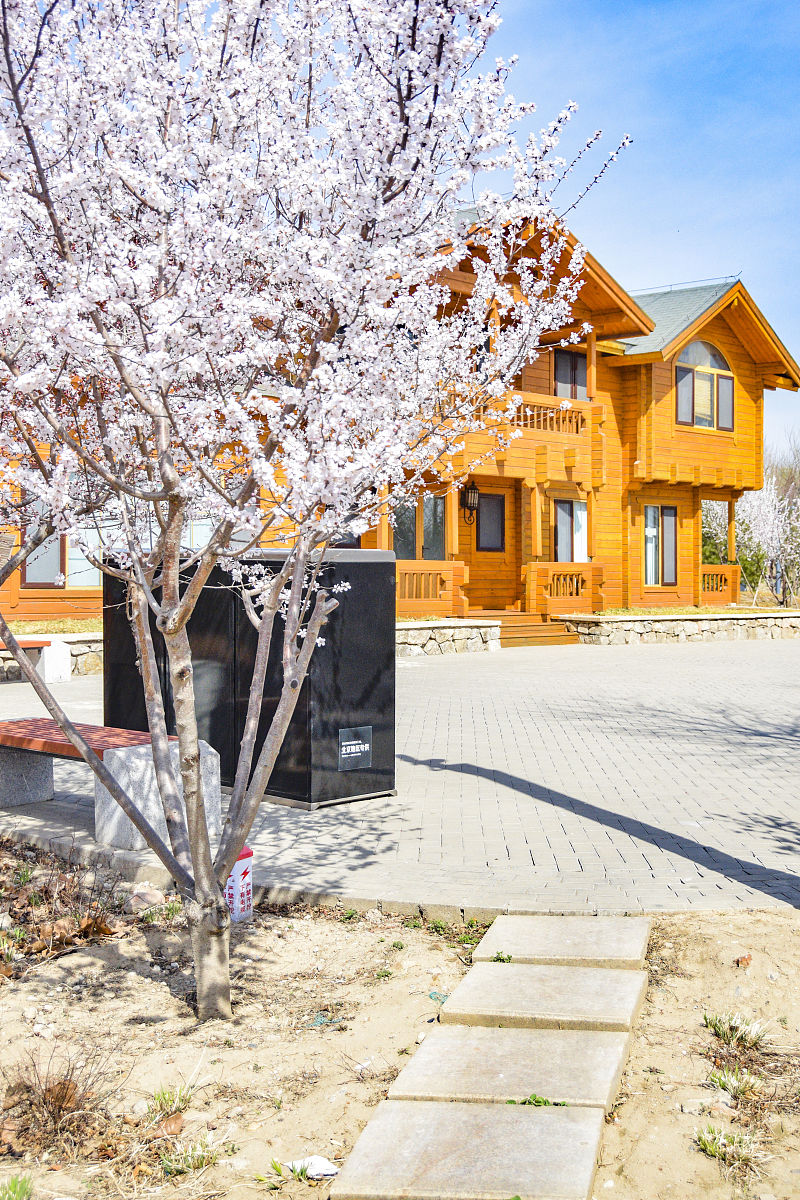 我们带着梦想出发,一路走过,一路成长