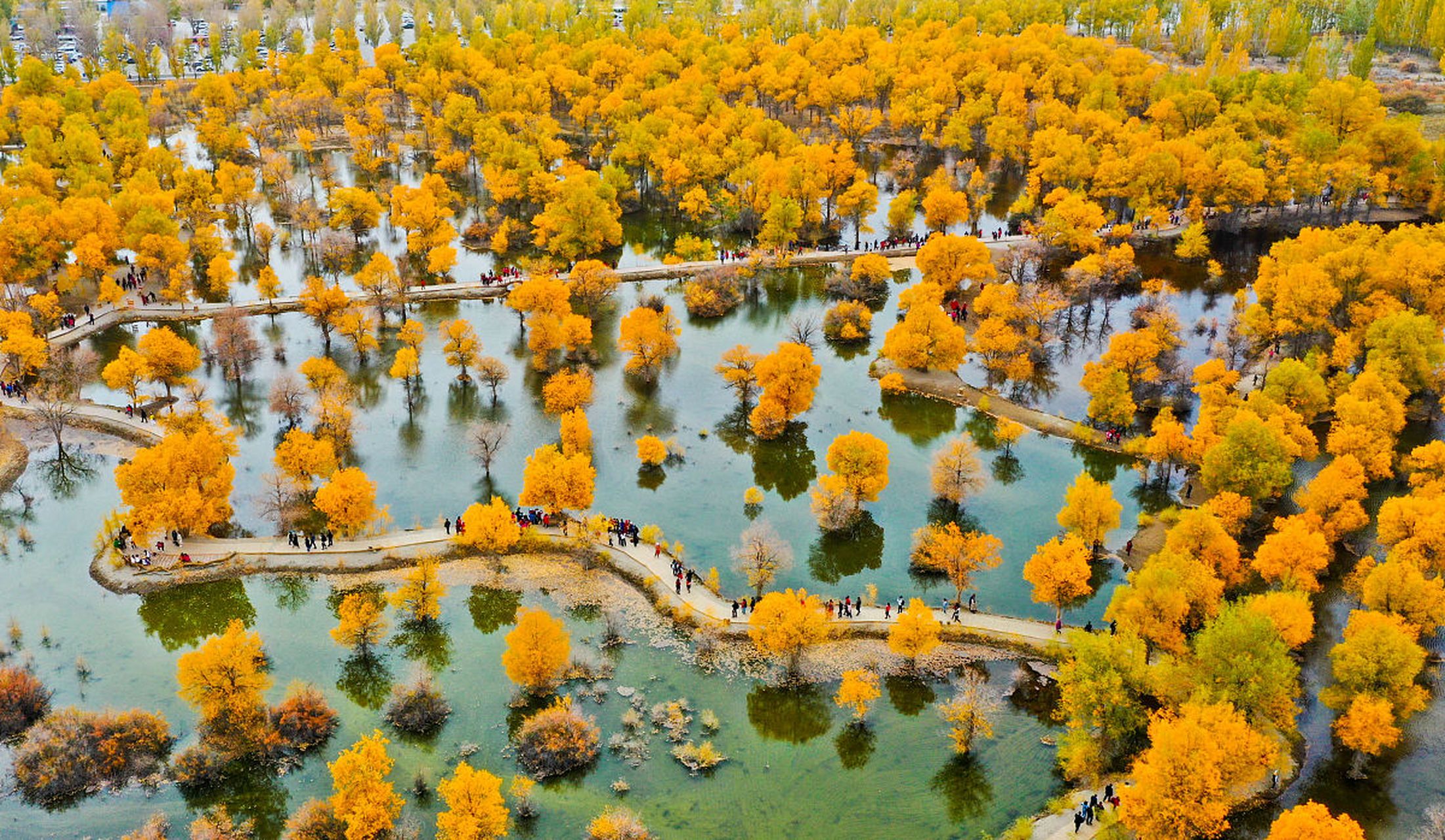 金塔沙漠胡杨林景区,位于甘肃省酒泉市金塔县,由胡杨林-金波湖核心