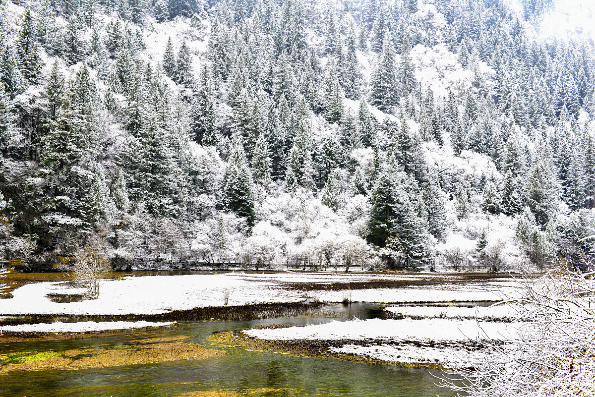 九寨沟下雪了,雪景美不胜收,群山的轮廓在明亮的天光里若隐若现,仿佛