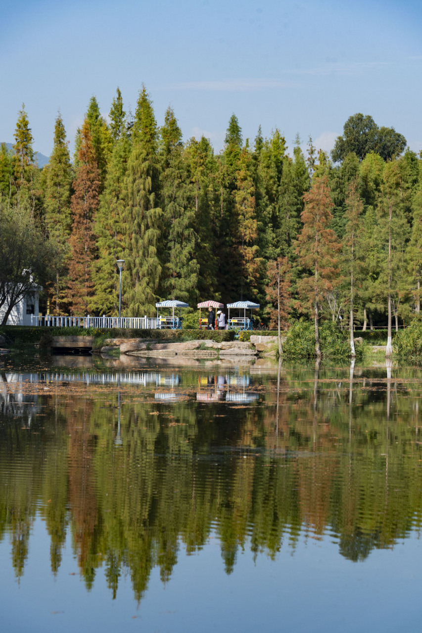 玉石湿地公园位于成都市郊的龙泉驿区,是成都的自然明珠.