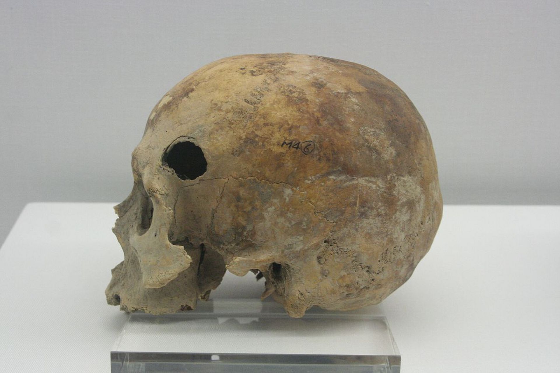 南京猿人化石于1993年在江苏省南京市江宁区汤山街道的葫芦洞中发现