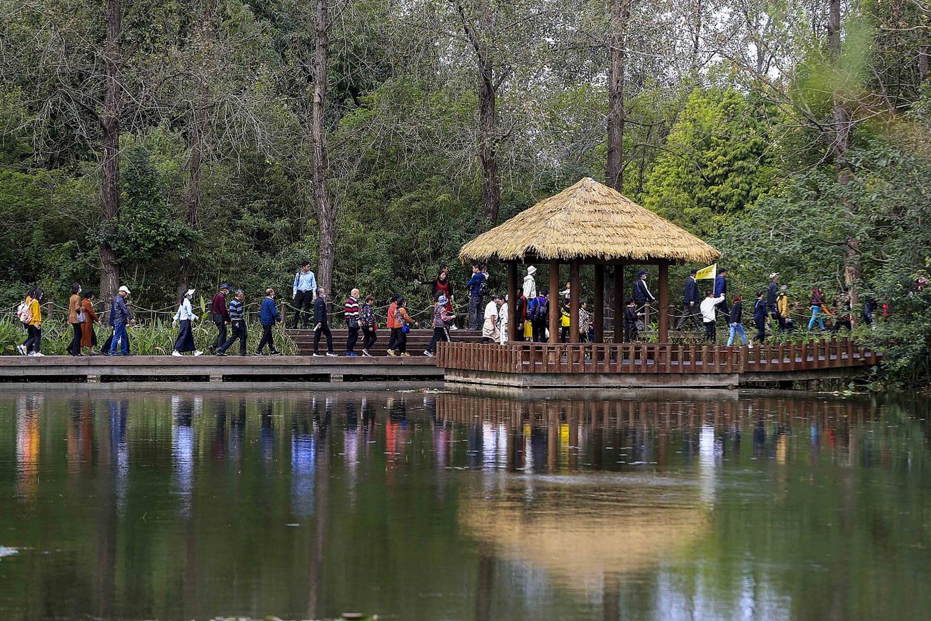 江苏省的绿意明珠,溱湖国家湿地公园,坐落于江苏中部