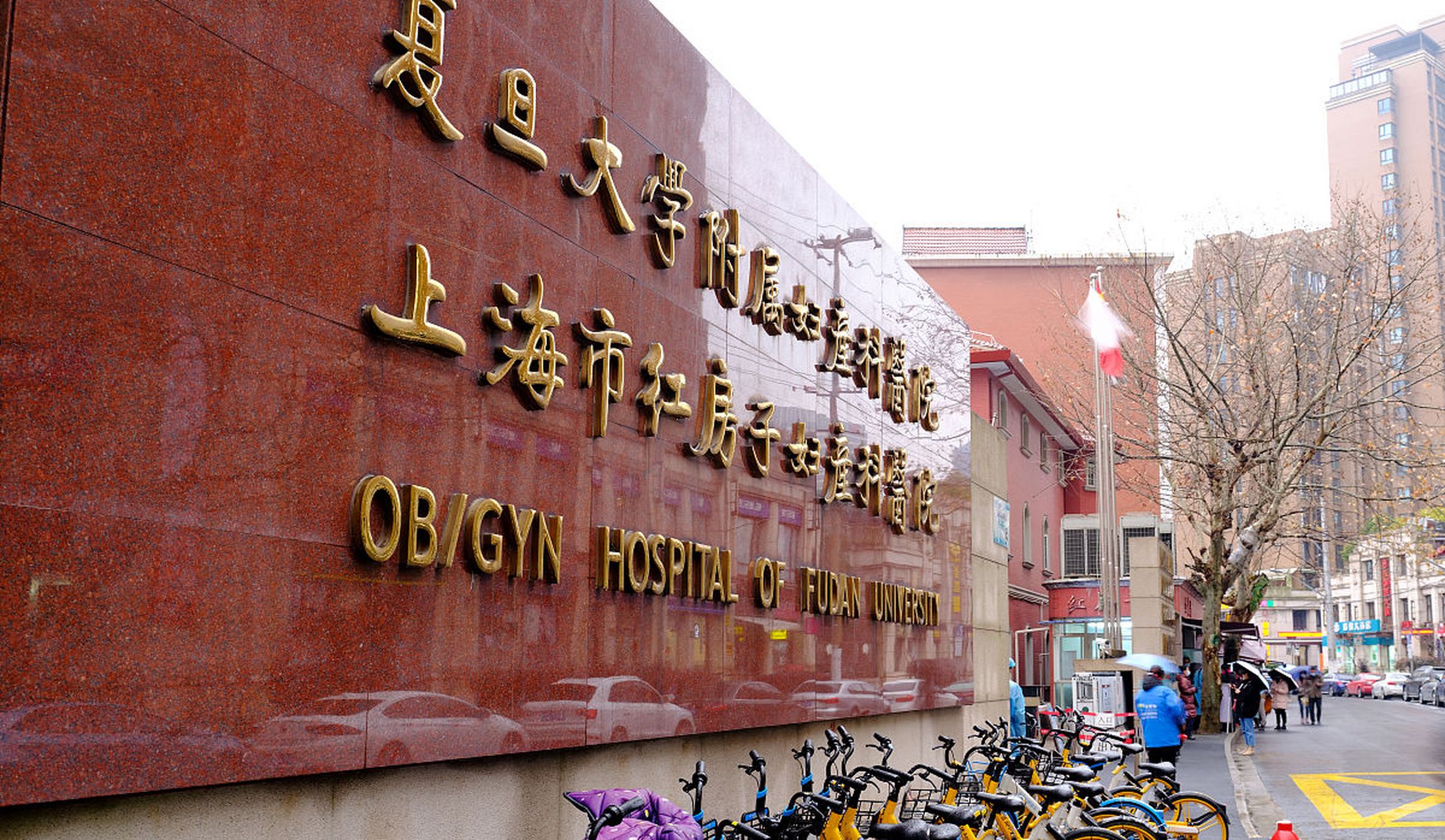 复旦大学附属妇产科医院(上海红房子医院)正在开展一项"子宫移植"临床