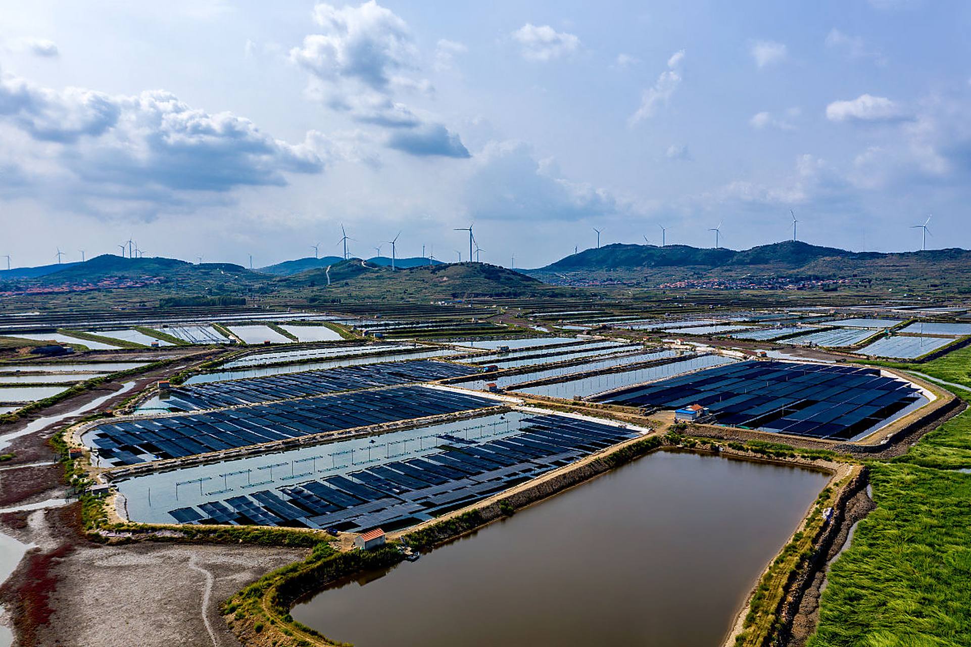 洪水侵袭涿州一养殖场,80万斤鱼死亡.