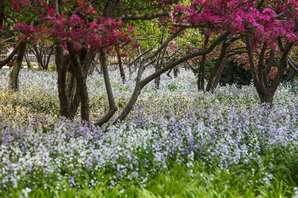上海徐汇梦公园隐藏在大都市的景色