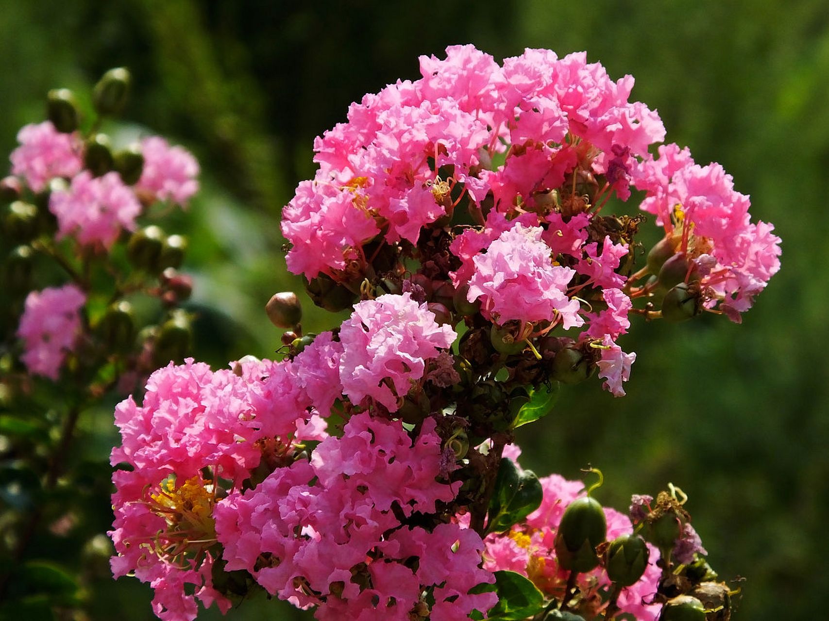 学会经营好自己的生活,  即使困难重重,  也要满怀