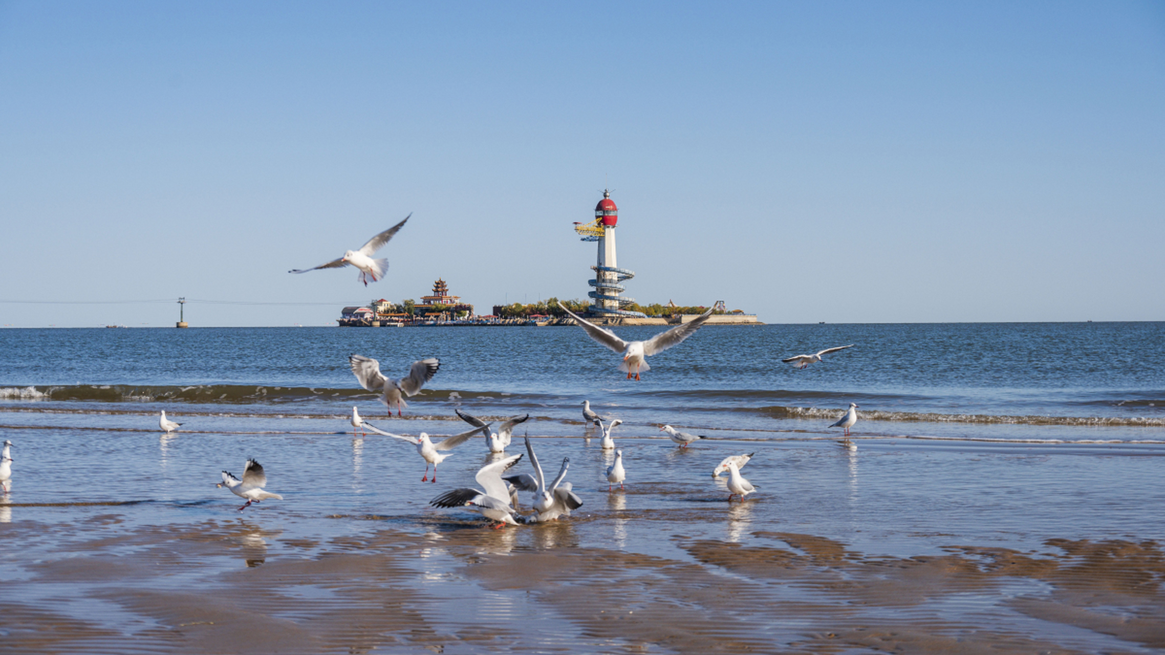 北戴河是世界四大观鸟胜地之一.