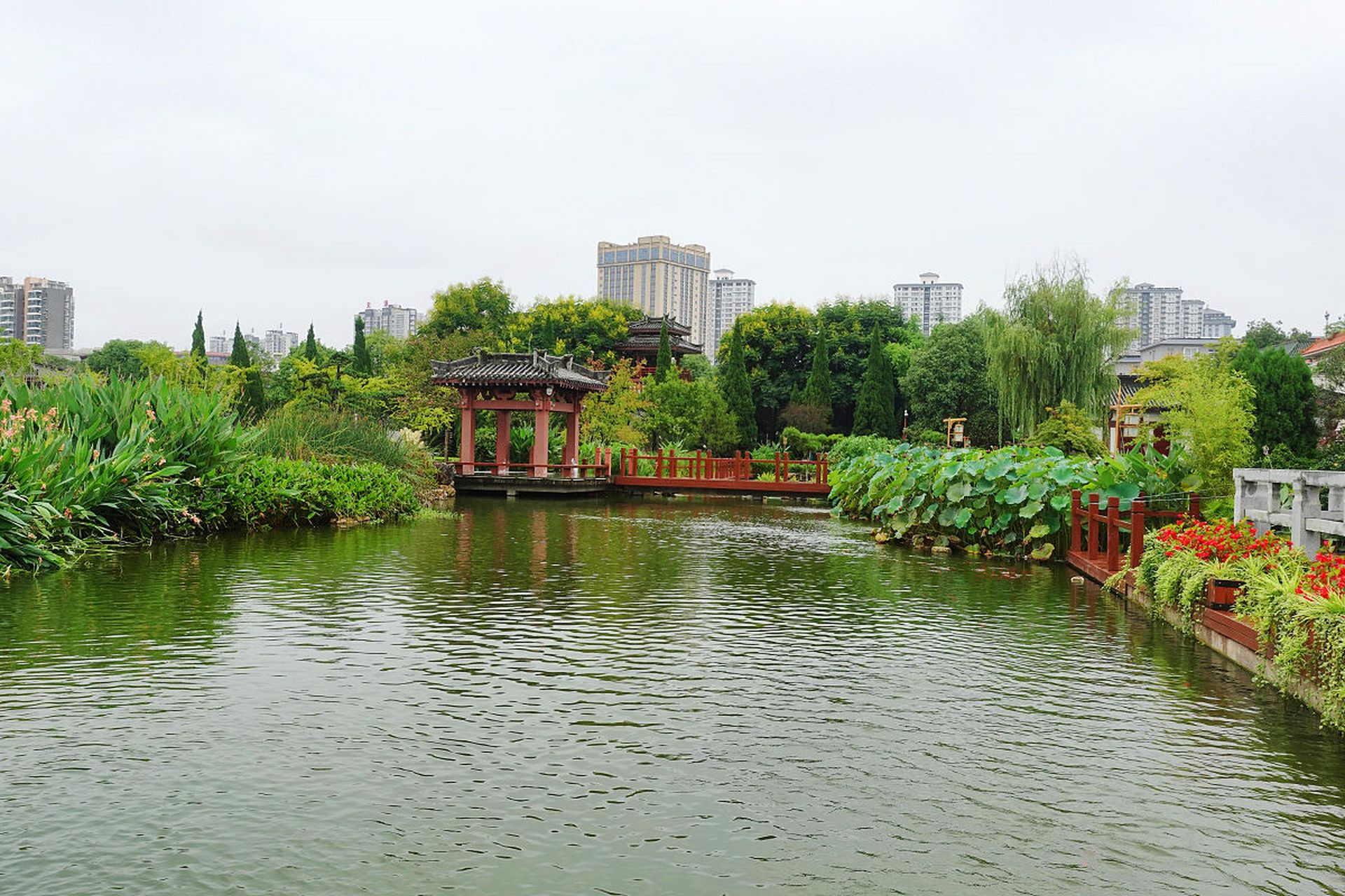 哇,各位小伙伴们,我今天去了武汉的汉阳莲花湖公园,简直美翻了!