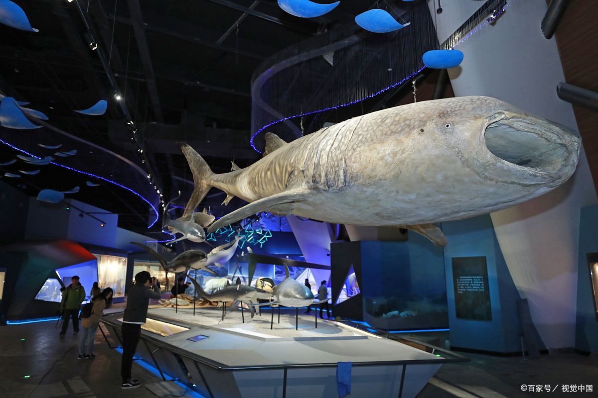 国家海洋博物馆免费吗?2025最新参观攻略与隐藏玩法全解析