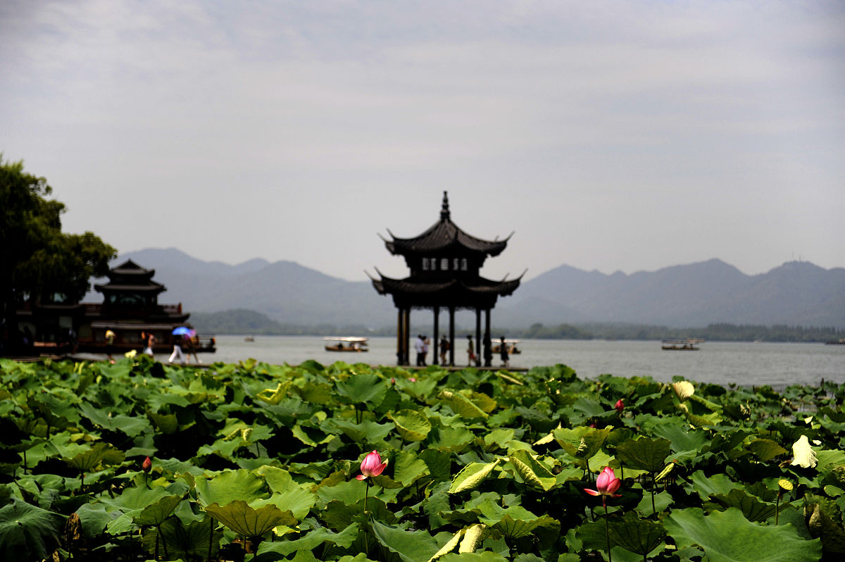 杭州美景伊人醉,佳丽如云心陶醉烟雨爱情断桥影,碧波荡漾西湖中