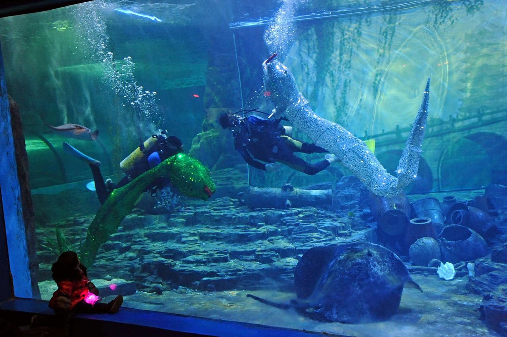 有一个让人仿佛置身北极南极的神奇地方——杭州极地海洋公园