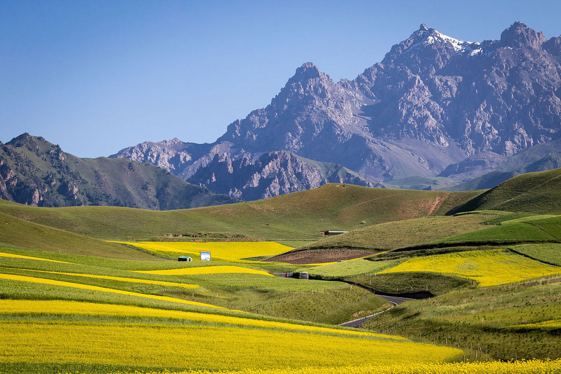 祁连山草原,位于中国青海省海北藏族自治州祁连县,是中国最美的草原