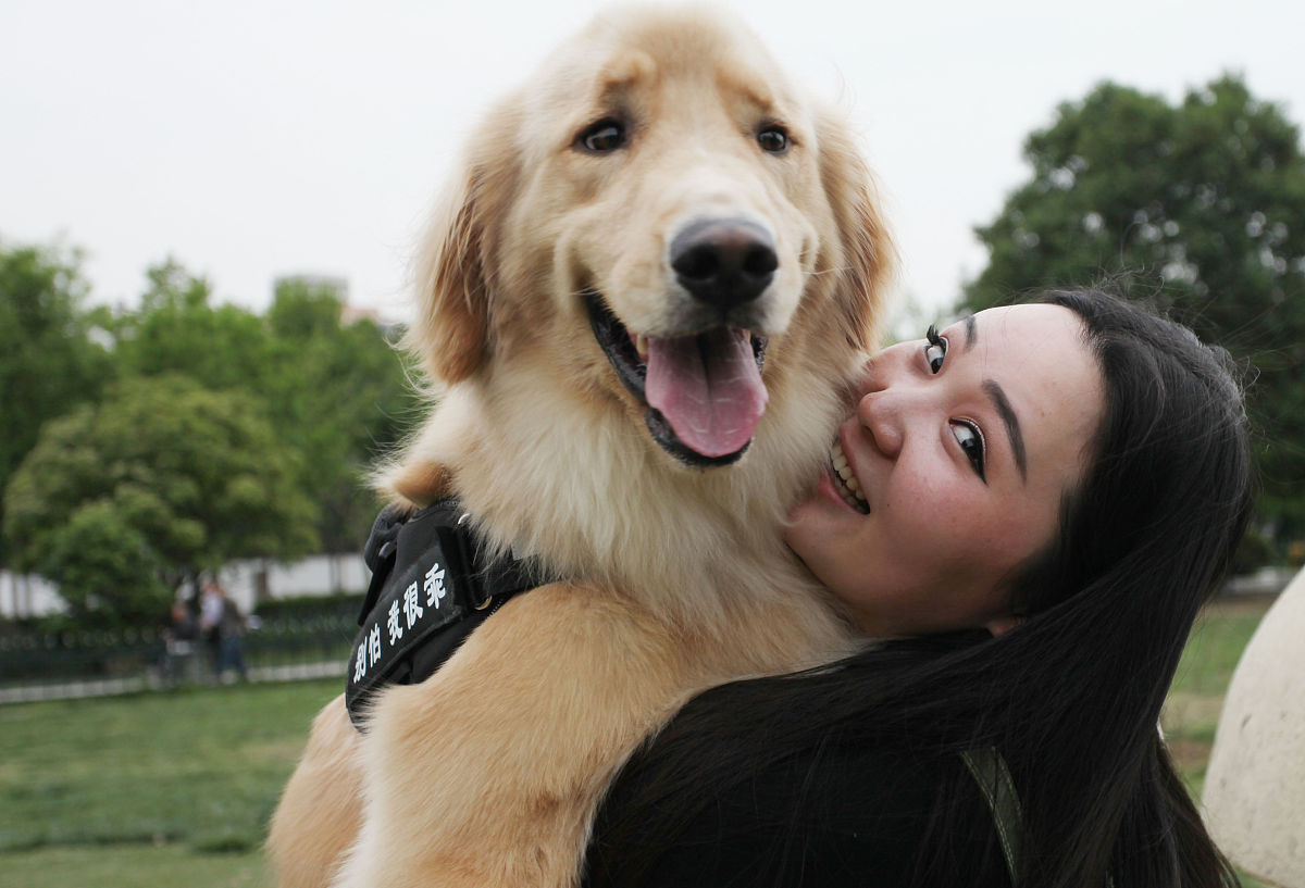 你有哪些被宠物治愈的瞬间?它们纯净的心灵从未改变