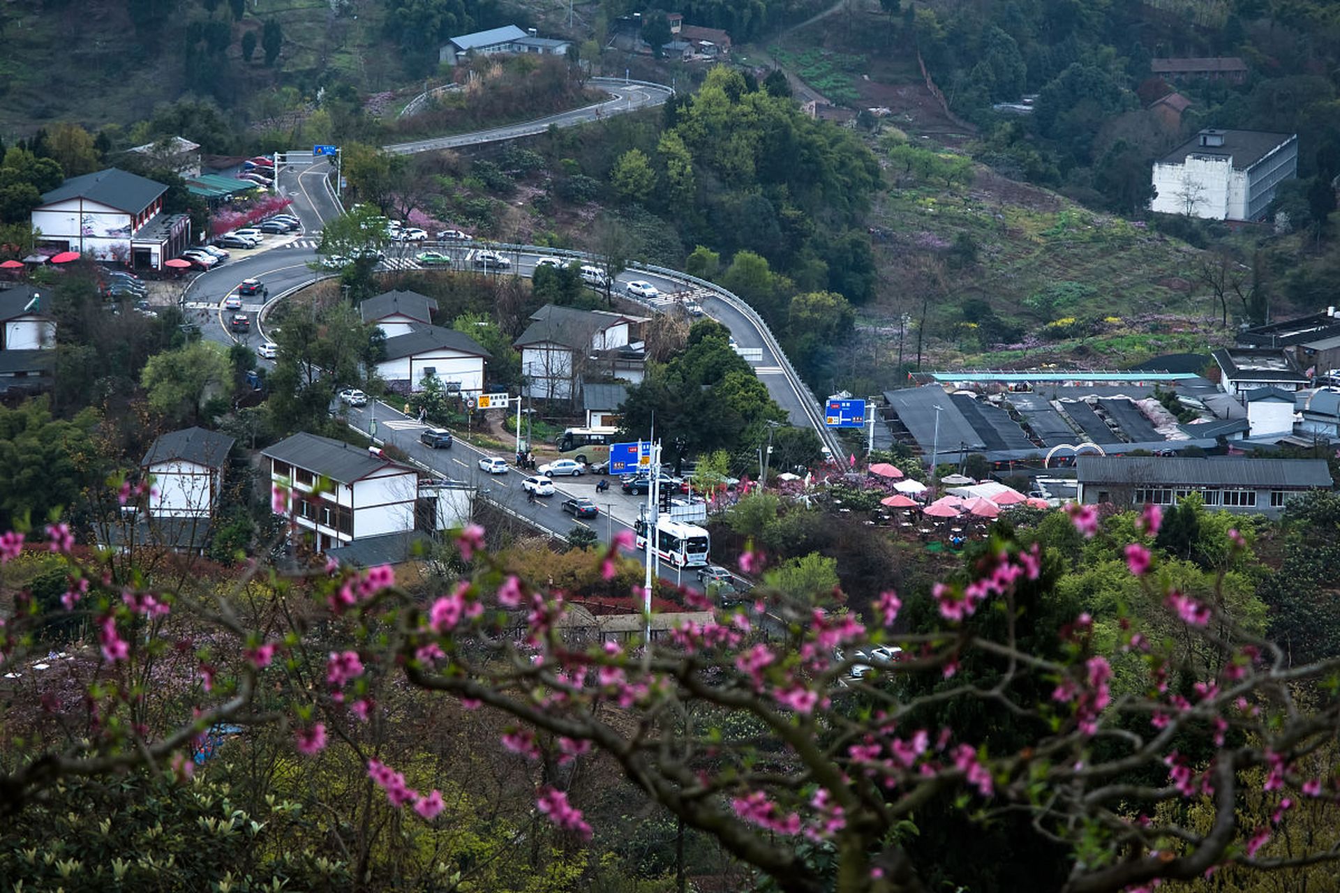 龙泉桃花沟图片