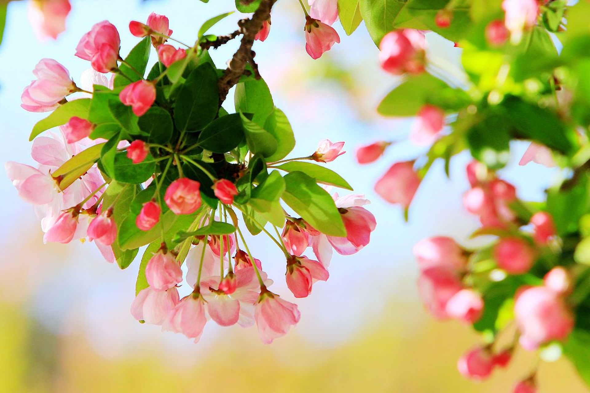 关注点在过去,找原因,所做的工作对事情的改变无济于事.