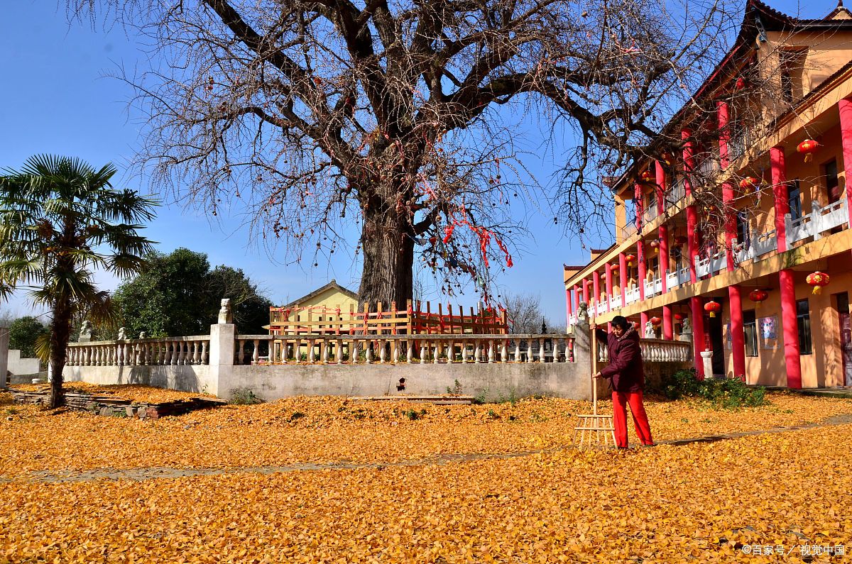 秋天的濉溪临涣镇,古镇秋色很沧桑!