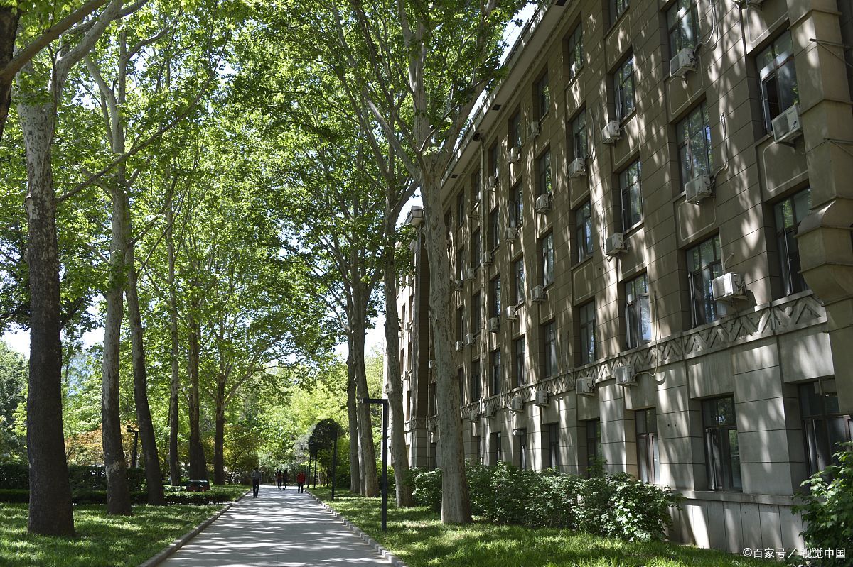北京林业大学以其独特的绿色校园而闻名,这里绿树成荫,花香四溢