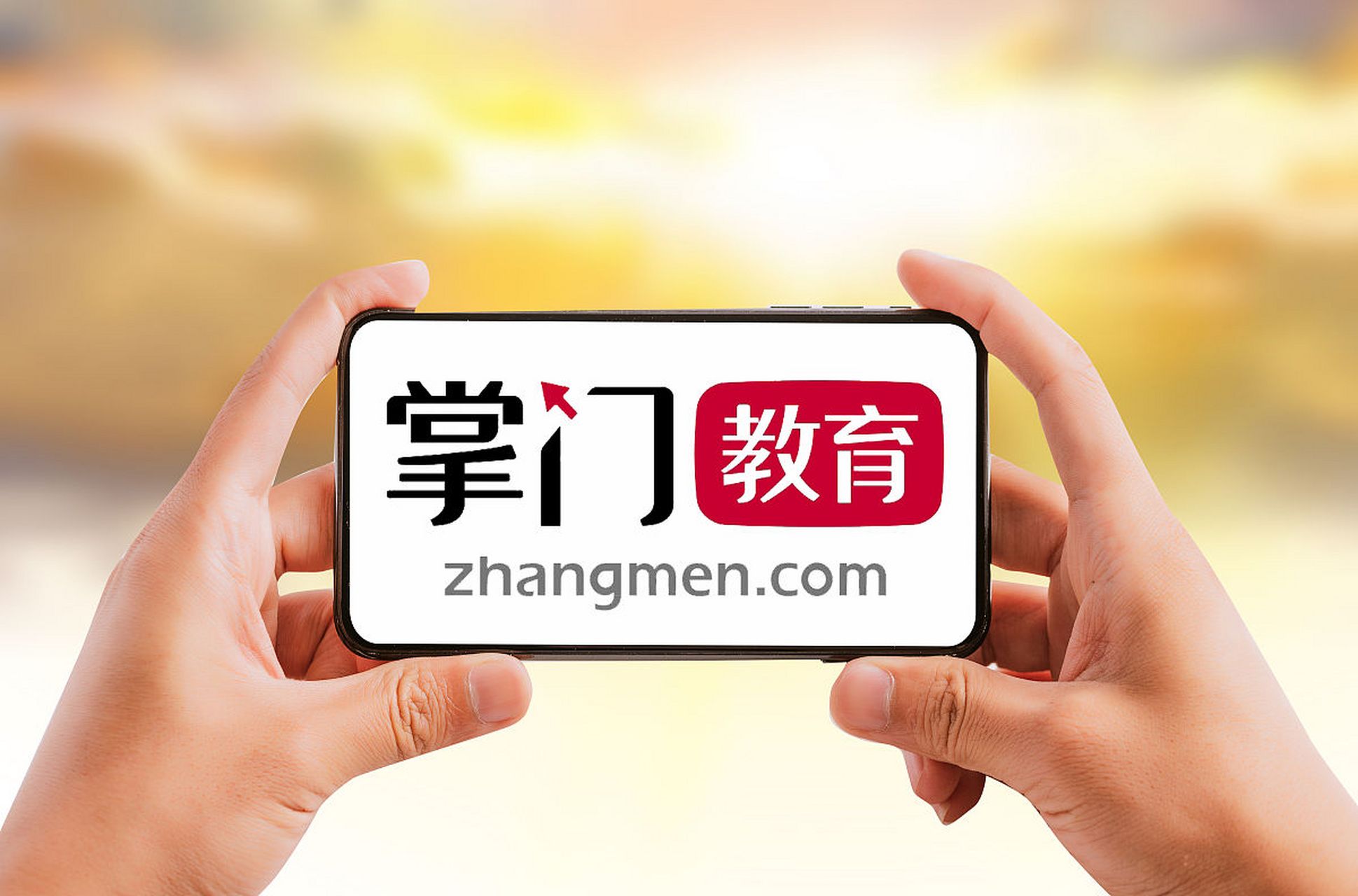 掌门1对1logo图片