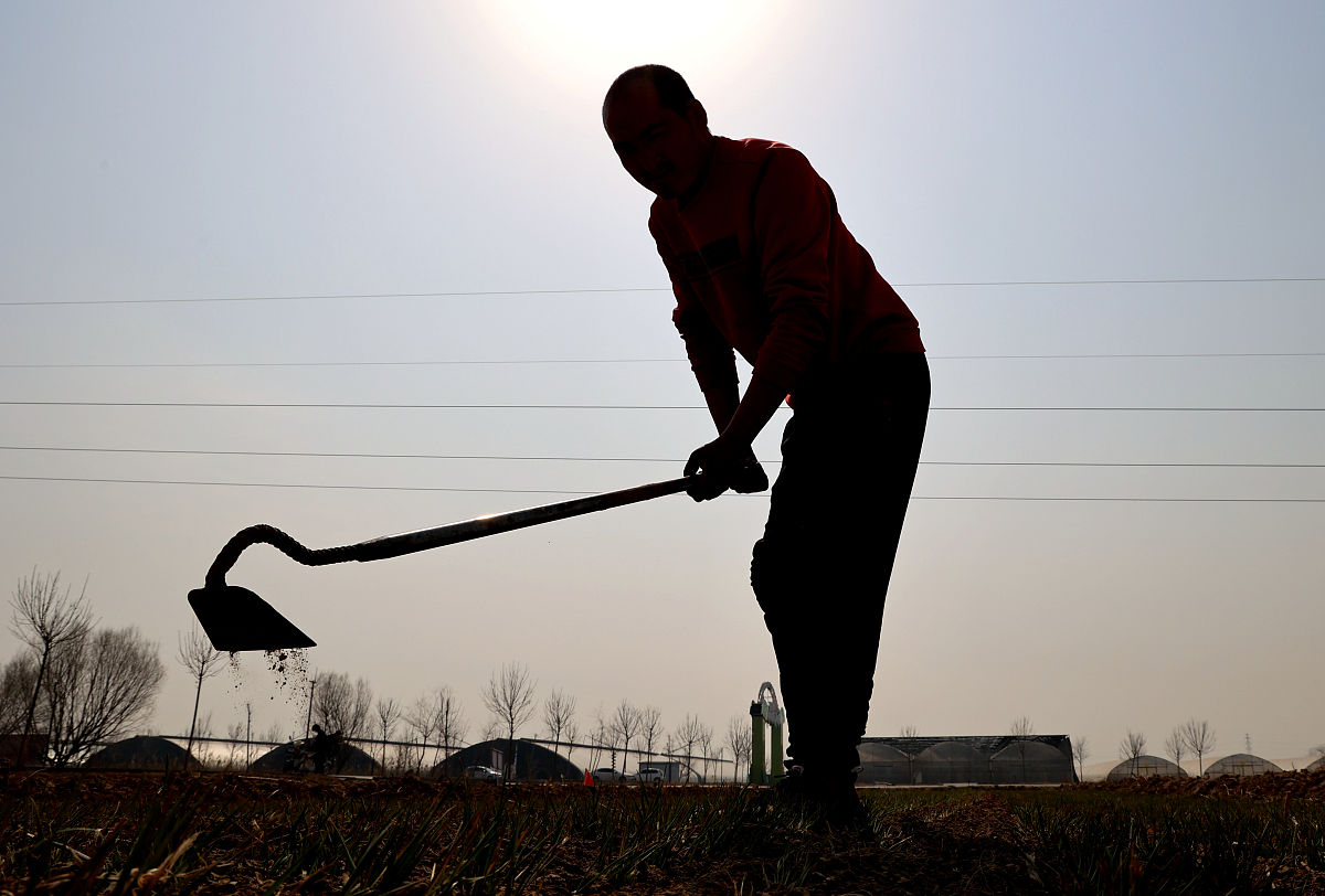 终于找到了答案