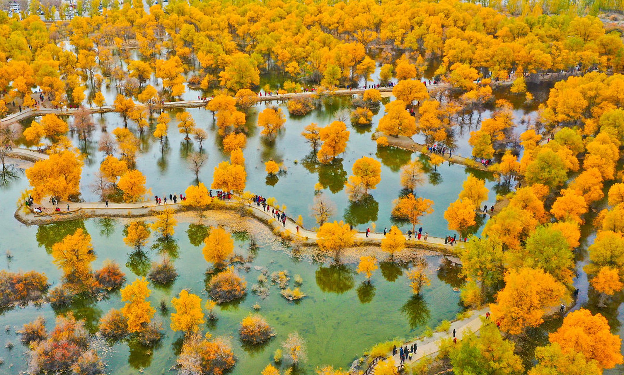 金塔沙漠胡杨林景区,位于甘肃省酒泉市金塔县,由胡杨林-金波湖核心