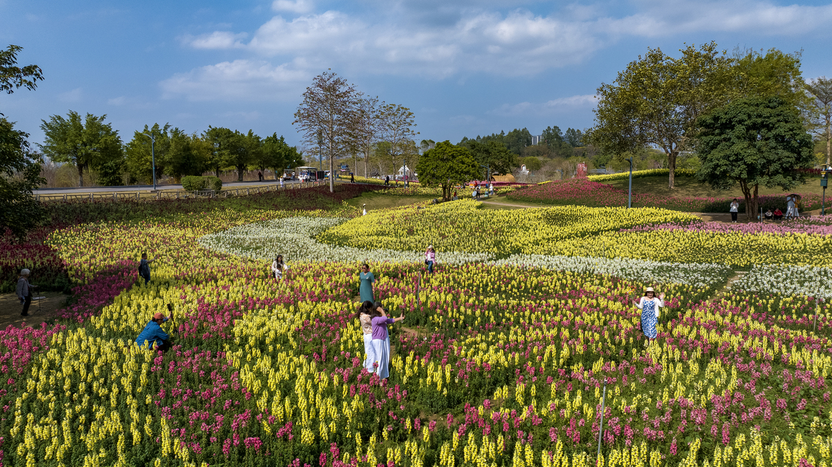 锦绣安仁花卉公园 推荐理由:西南规模最大的花卉主题公园,以巨型花雕