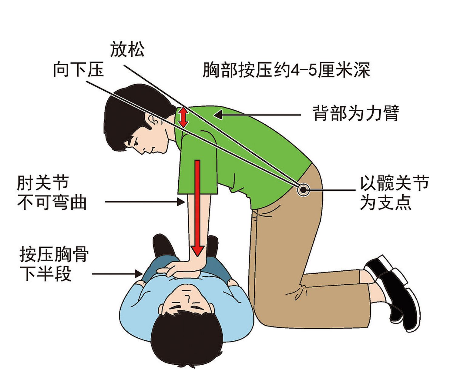 心肺复苏位置图图片