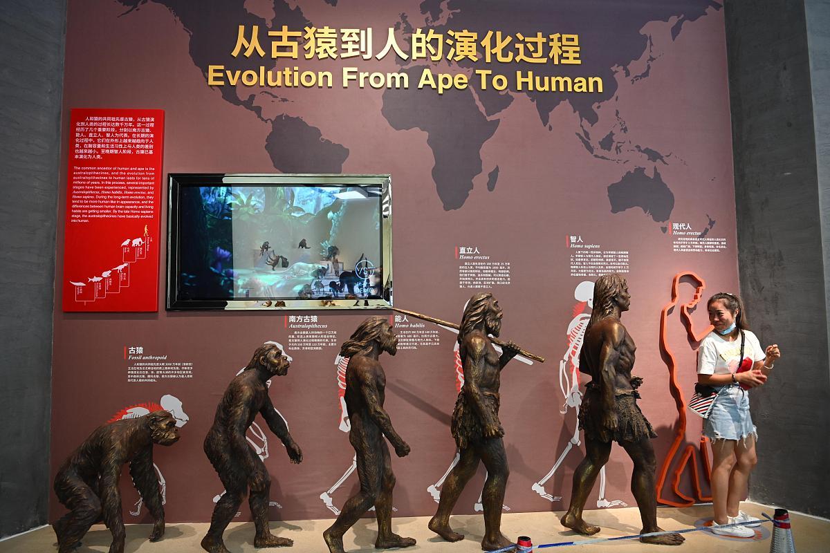 人类进化历程复杂,尼安德特人与丹尼索瓦人是现代人近亲,基因交流影响