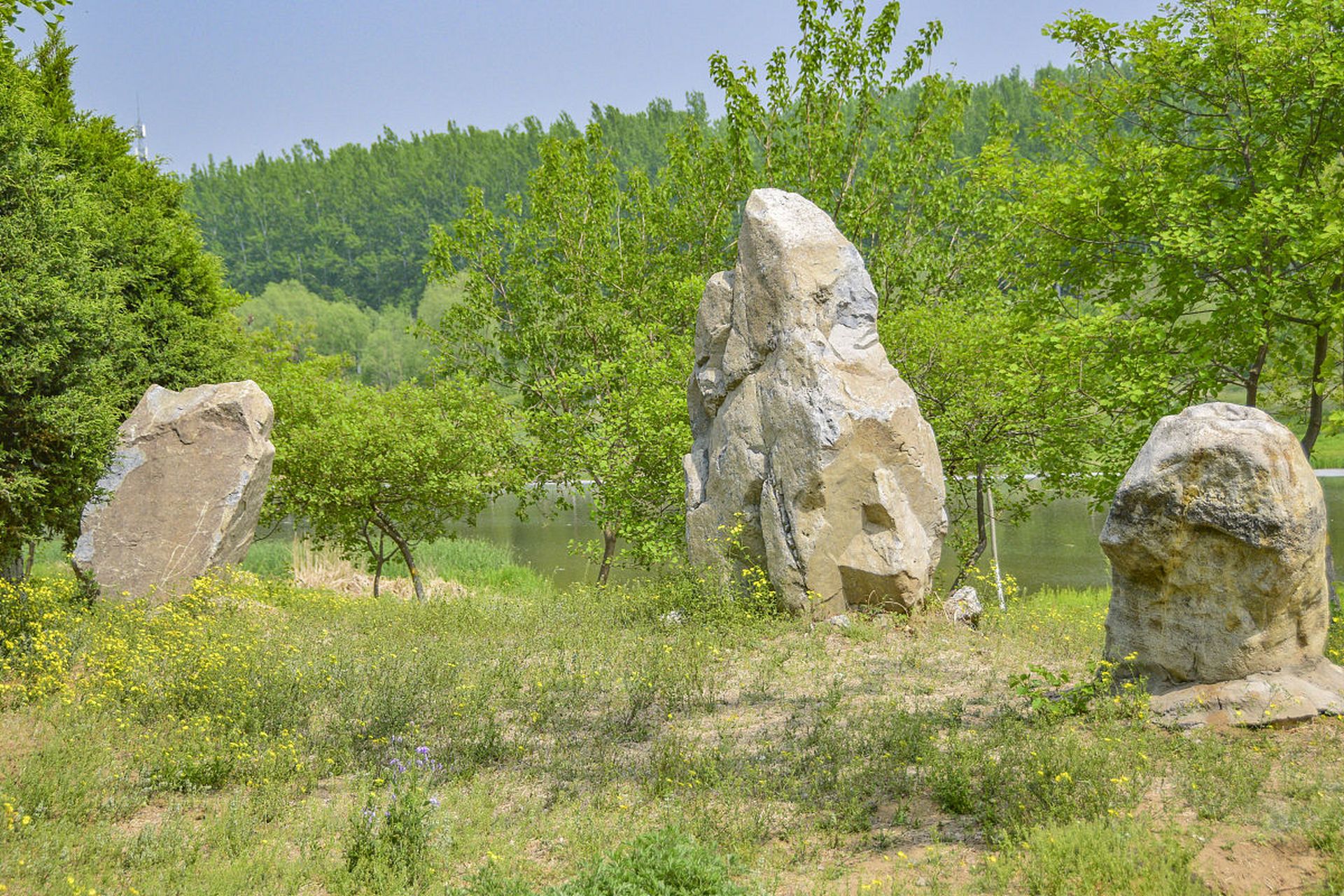 捺山地质公园观后感图片