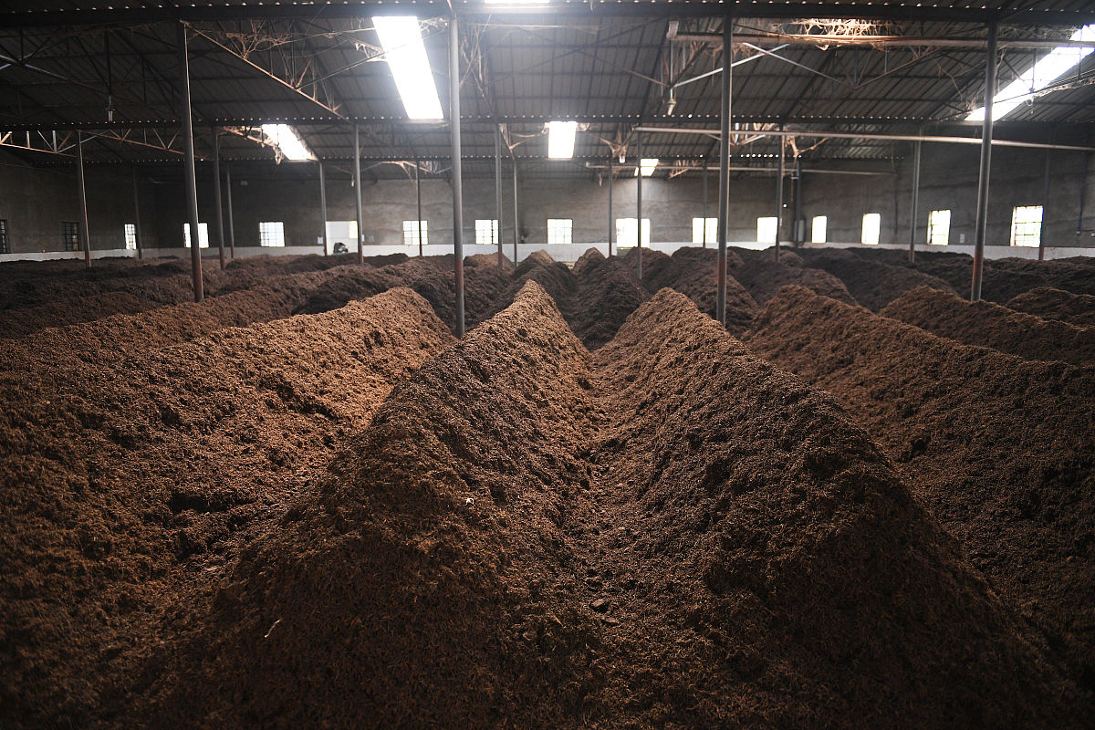 冬天,为什么要喝普洱熟茶?