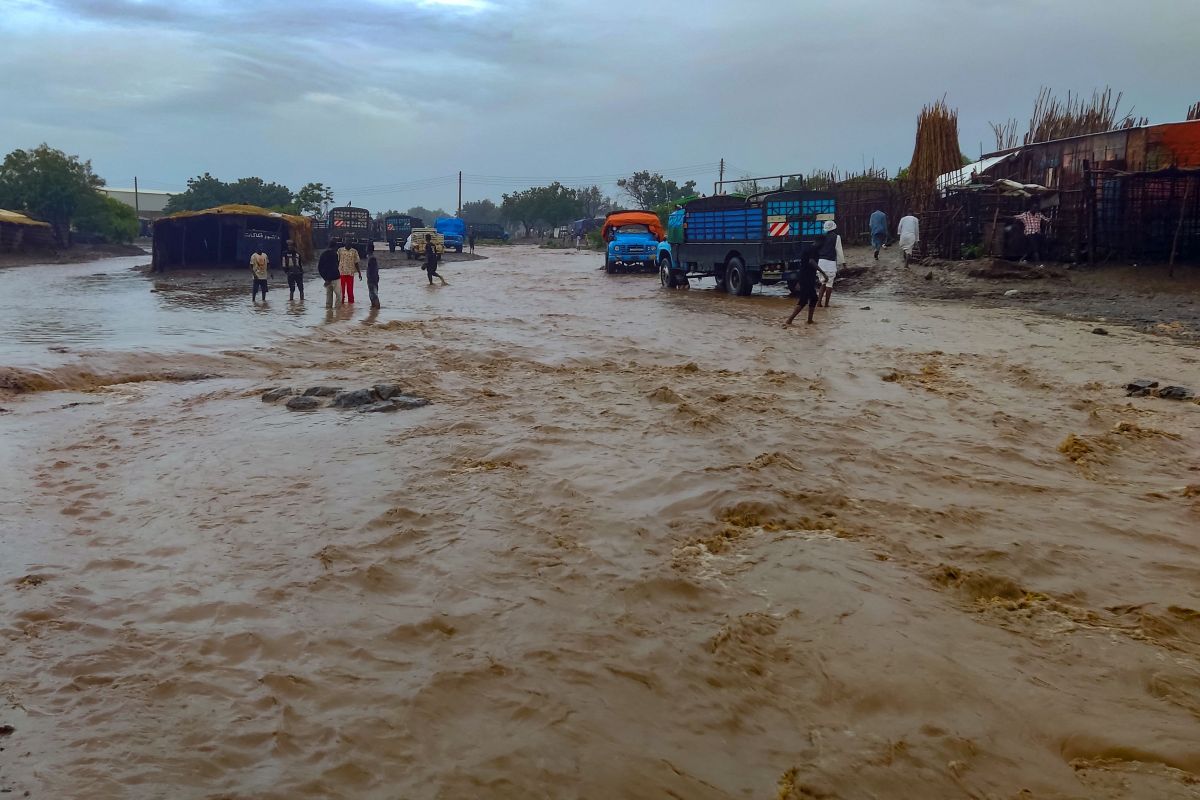 辽宁建昌县遭遇暴雨,大树被冲断倒地,石头被冲到马路上,抗洪抢险紧急