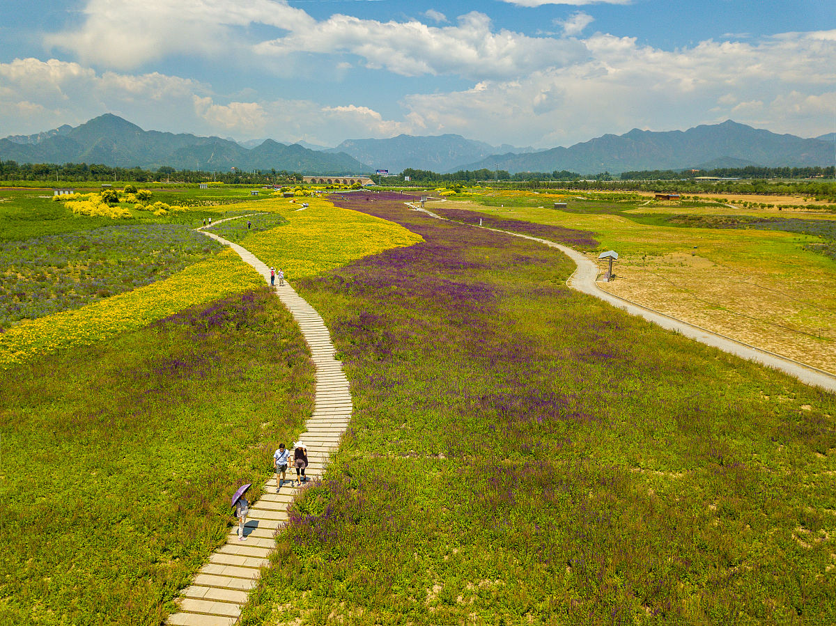 少陵原——绵延20公里,贯穿长安南北,景色秀美,是许多人的家乡