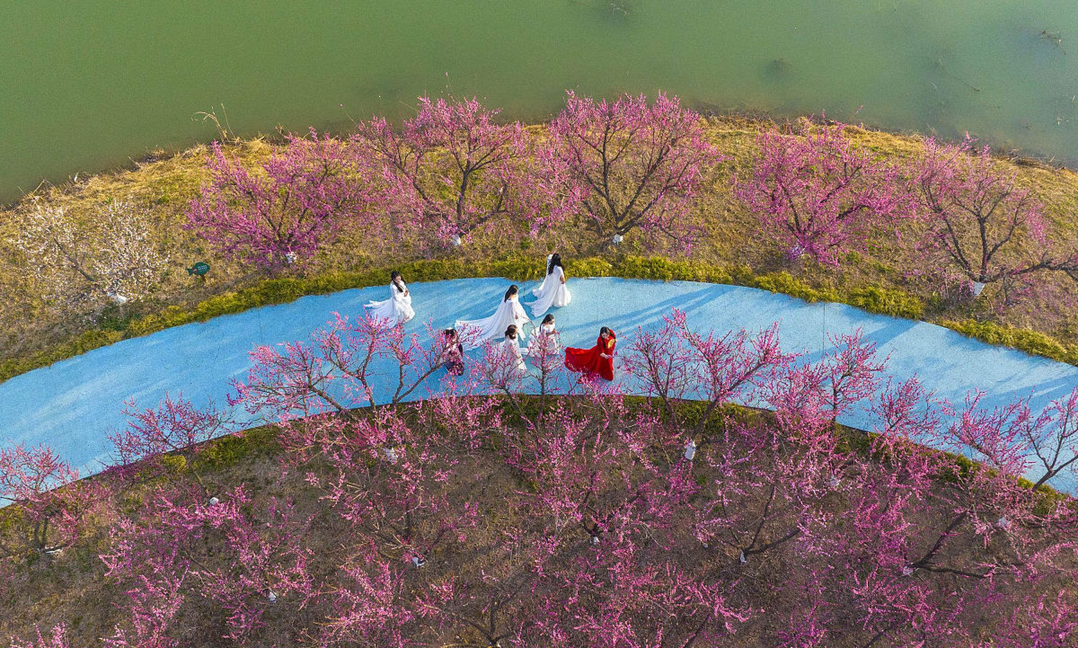 欢迎来到桃花岛,一个美丽而神秘的地方!桃花岛位于东海之上,是浙江省