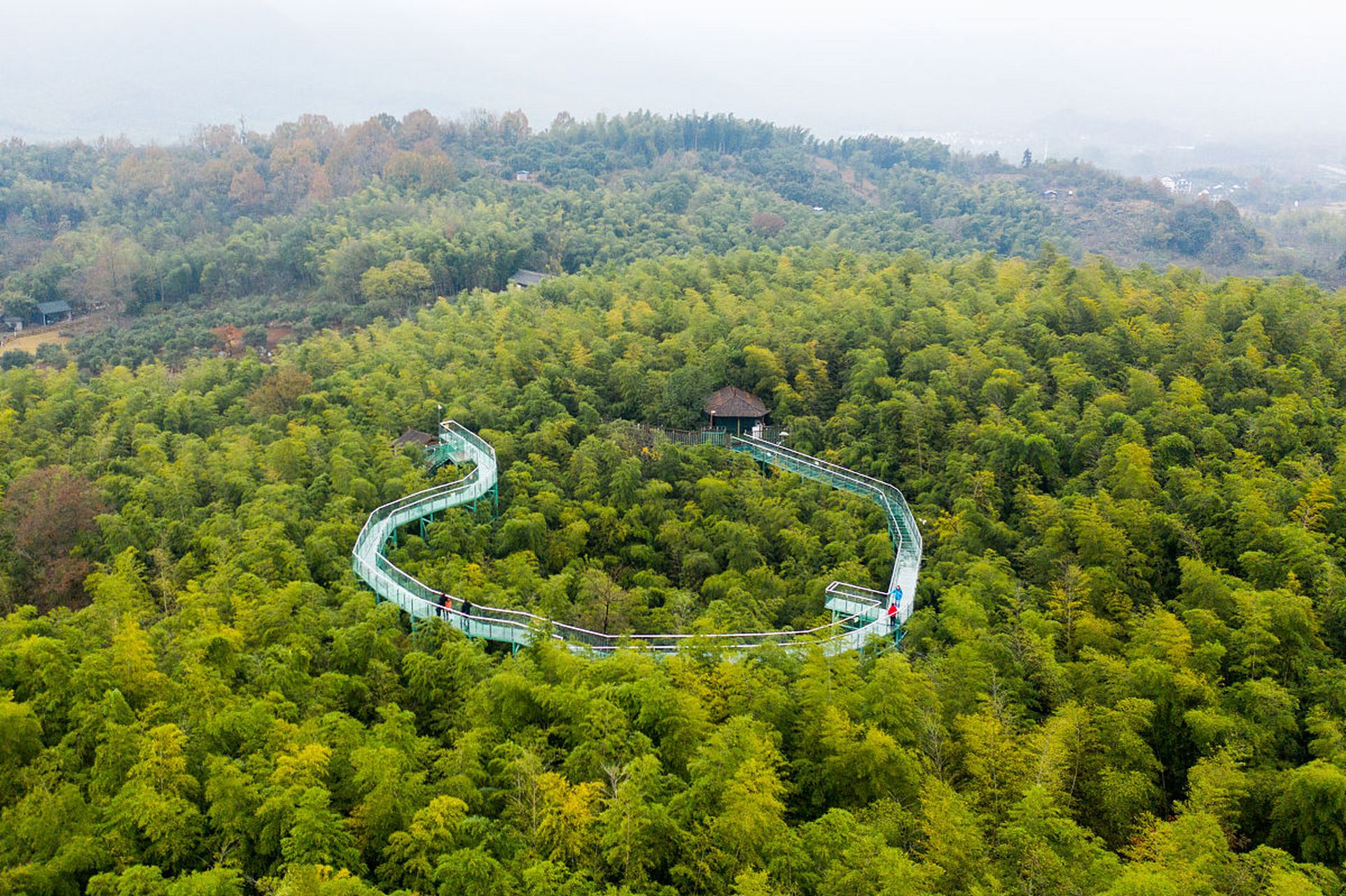 下面就为大家介绍宜兴竹海风景区!