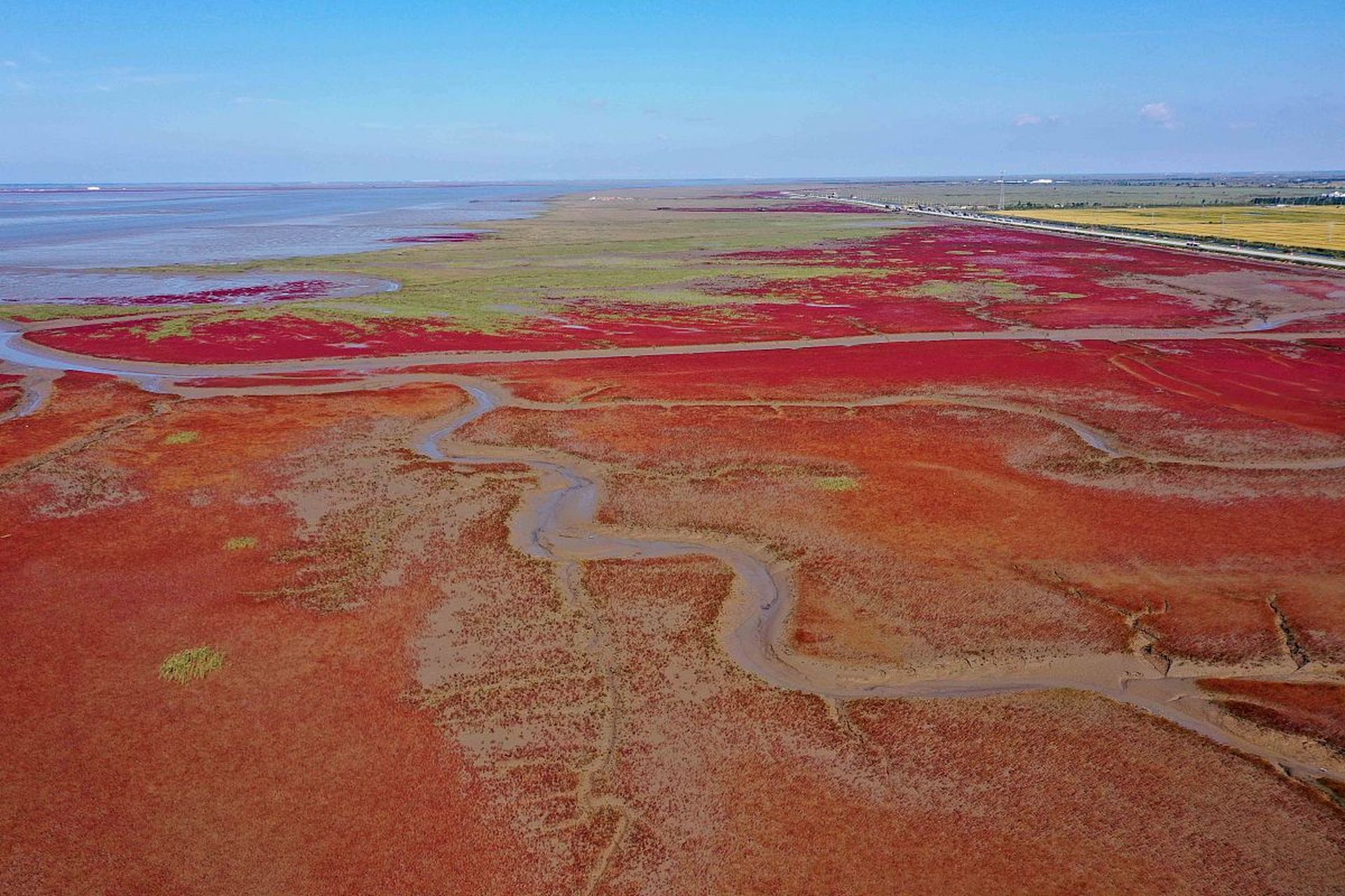 盘锦红海滩风景廊道是一处自然奇迹,拥有独特的红色海滩和潮间带湿地