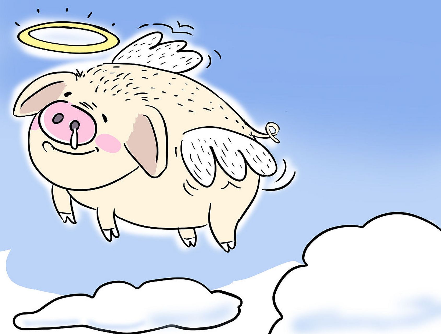 这究竟是怎么回事呢?难道飞猪平台还玩起了"看人下菜碟"的把戏?