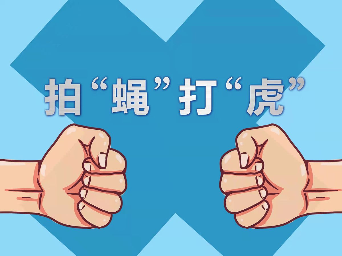 触目惊心,市县成腐败高发地方,打虎拍蝇在行动