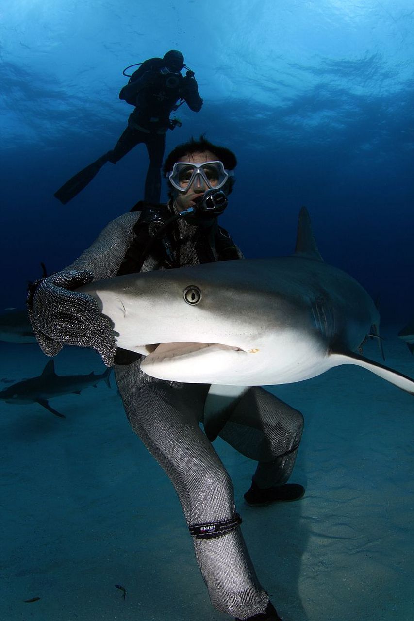 虽然大多数人们认为鲨鱼的皮肤是光滑的,但其实它们的皮肤表面覆盖着