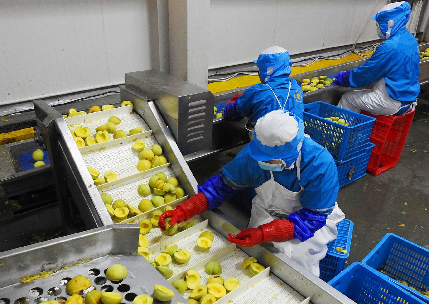 科学漫谈# 化学在冷冻保存技术中的创新 冷冻保存技术在食品挂档