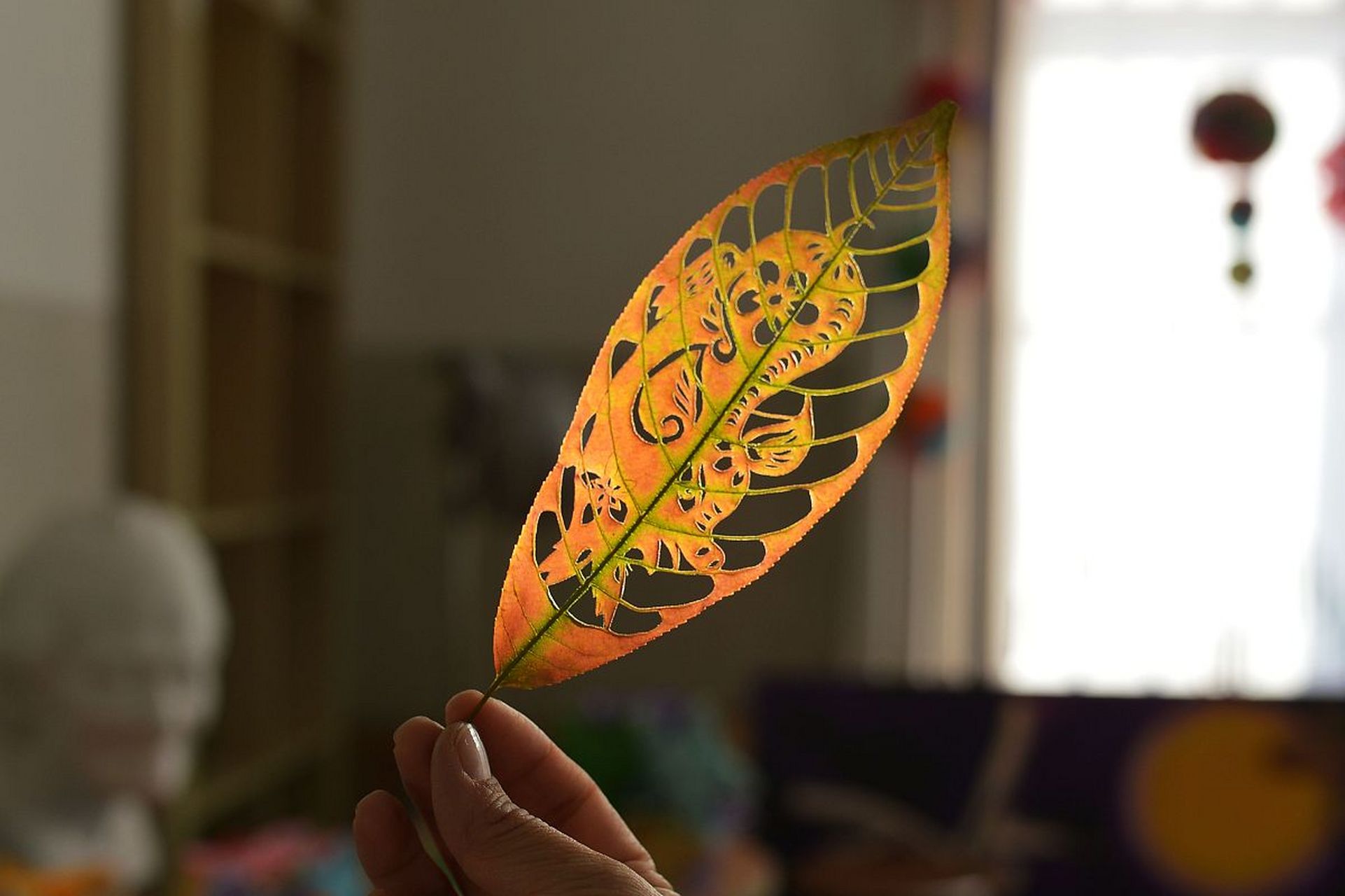 叶脉书签是一种以树叶的叶脉为原材料制作的书签,具有独特的美感和