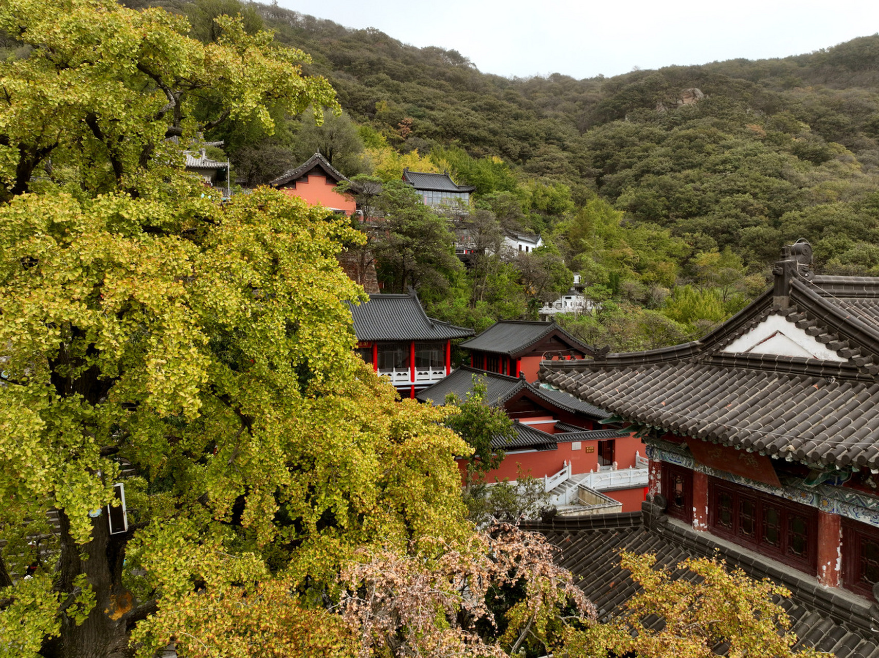 花果山位于江苏连云港市,主峰玉女峰海拔624.4米,峭壁陡峭,绿意盎然.