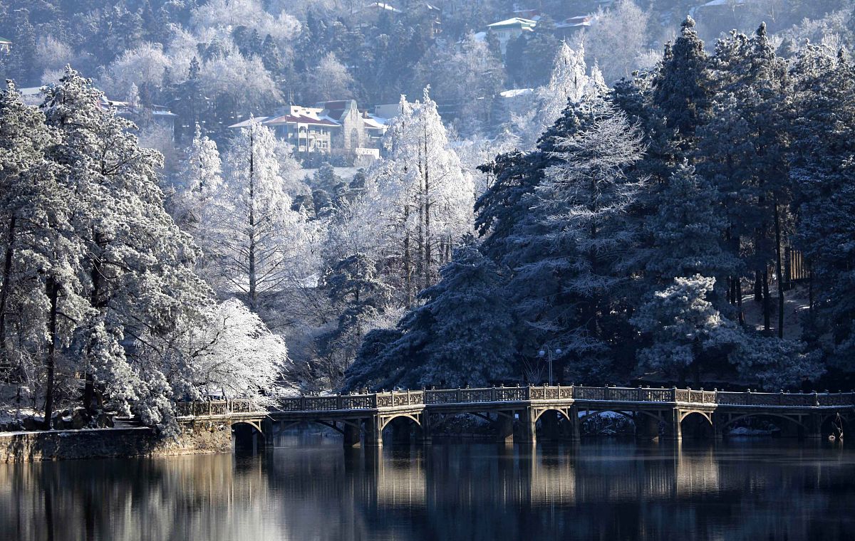 不是东北去不起,而是南方的雪更有性价比!南方绝美赏雪胜地