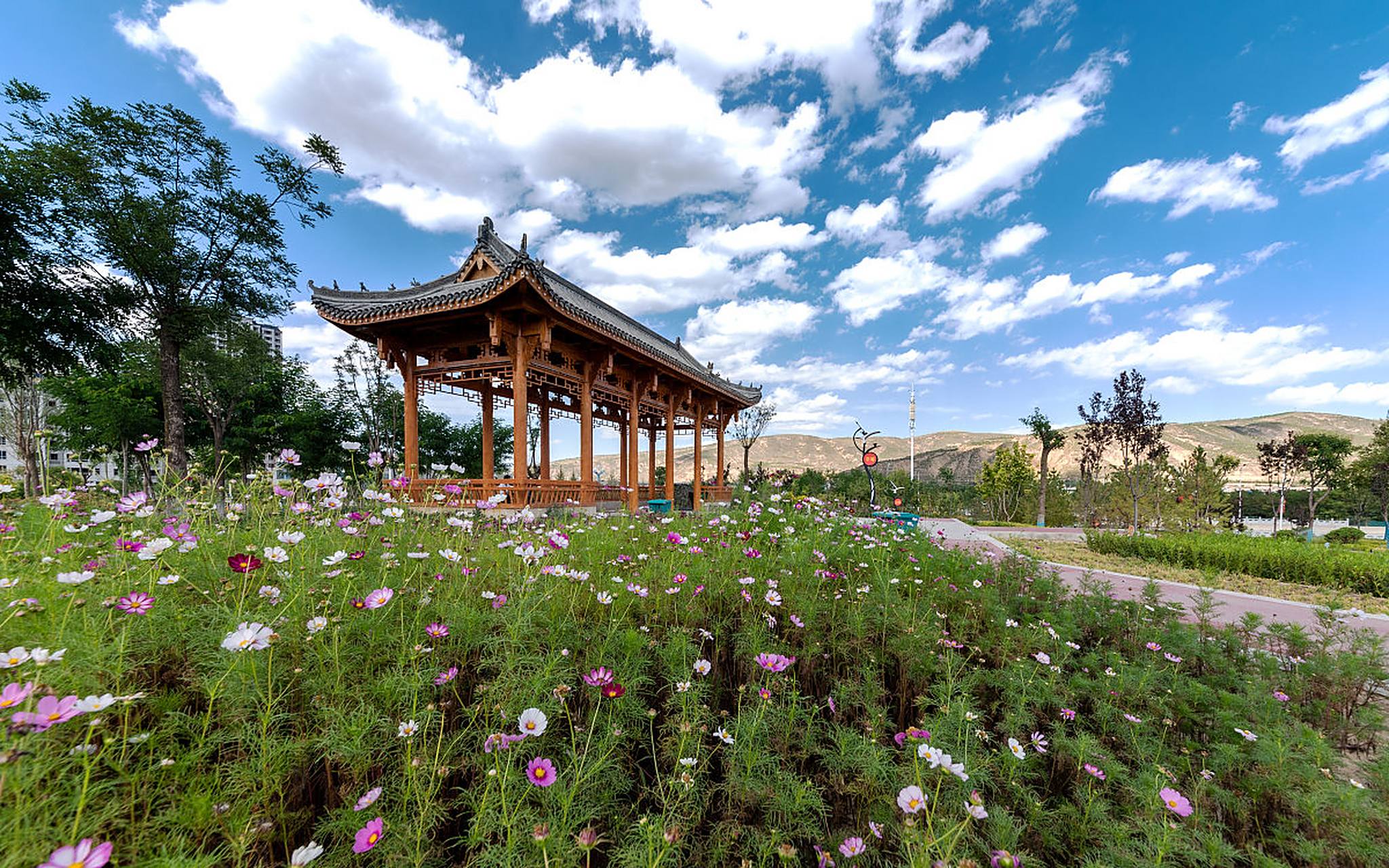 心定西再出发#位于定西市临洮县的狄道乡,是一座美丽的小镇,拥有许多