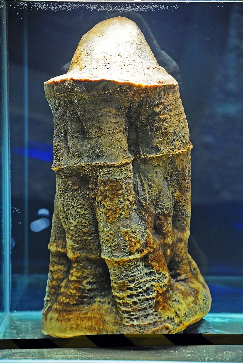 ai的调色盘轻轻一抹,就绽放出鲜活的色彩,每一