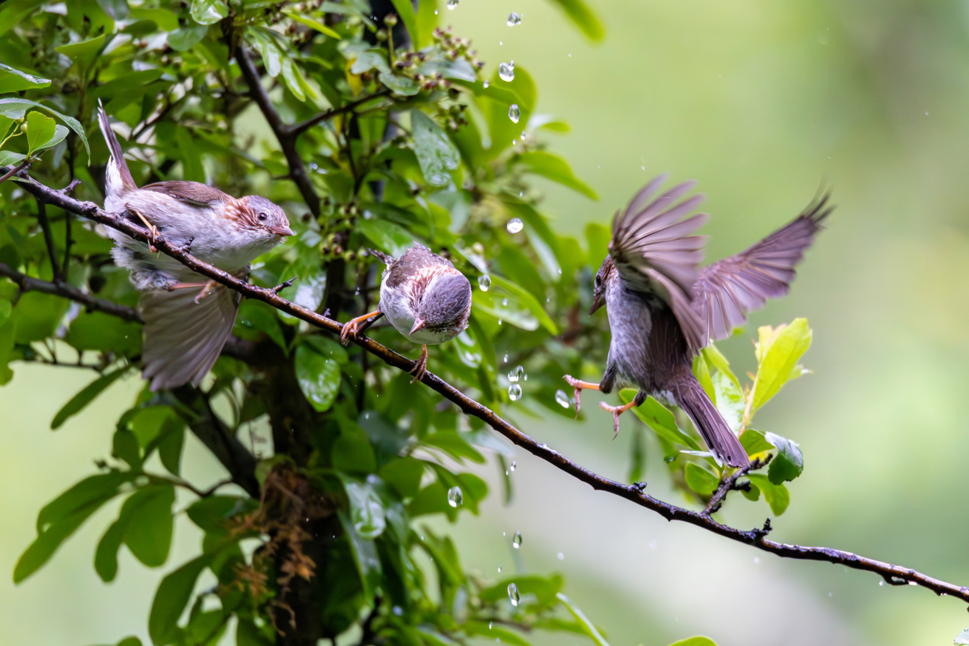 倾听大自然的旋律,那是一首未完的诗.