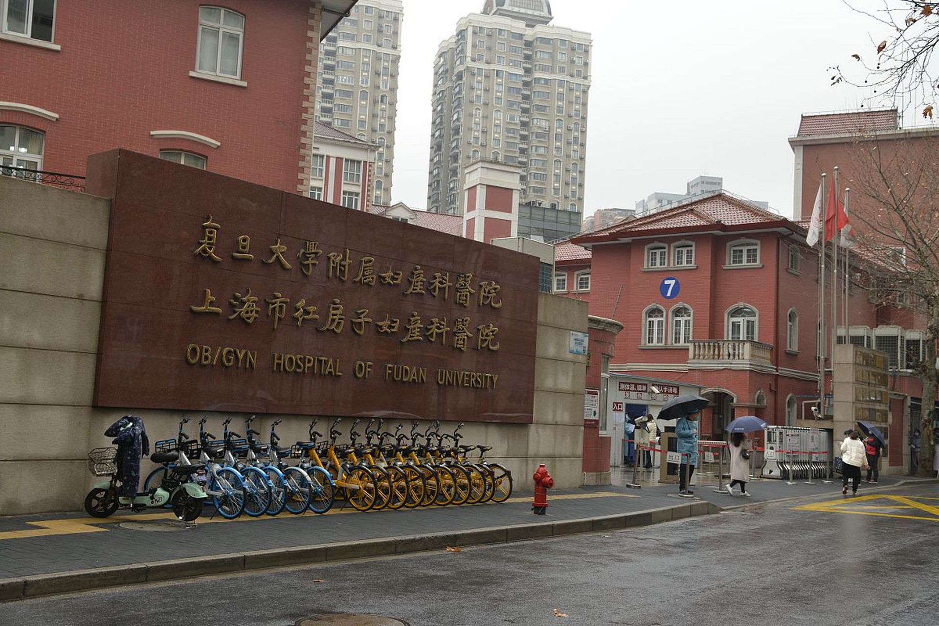 上海红房子汪清图片