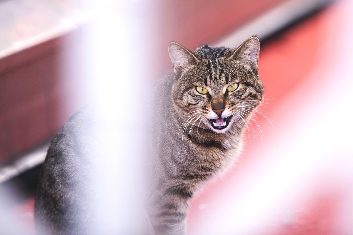 如今的社会,虽然科技发达,但犯罪手段也层出不穷.